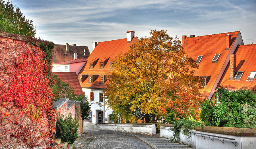 Single freising